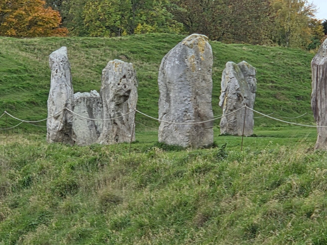 Dorwyn Manor B&B主图