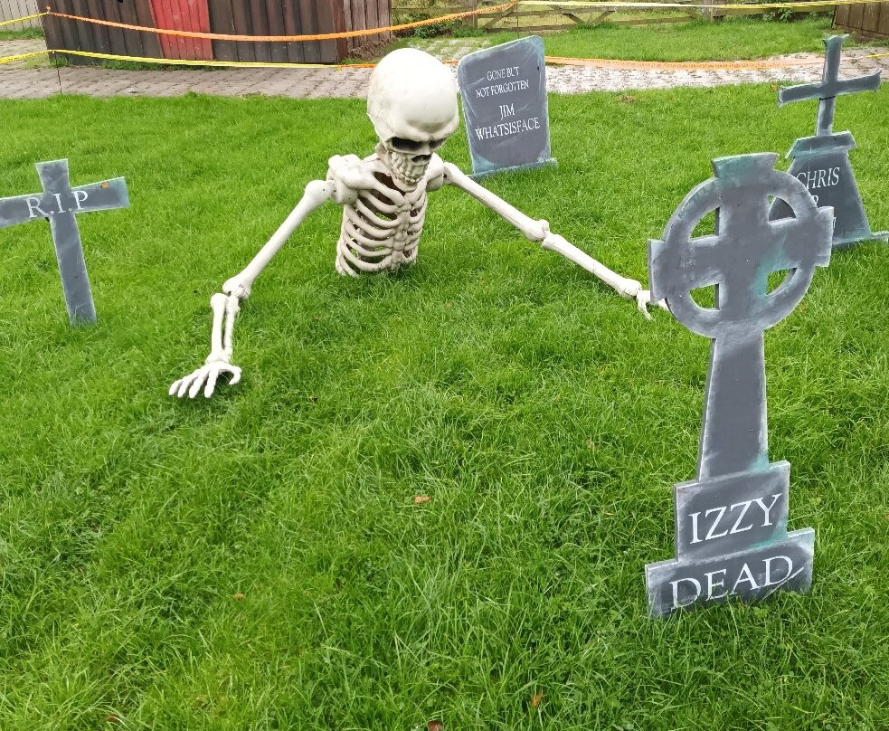 Newham Grange Farm-米德尔斯堡必去景点