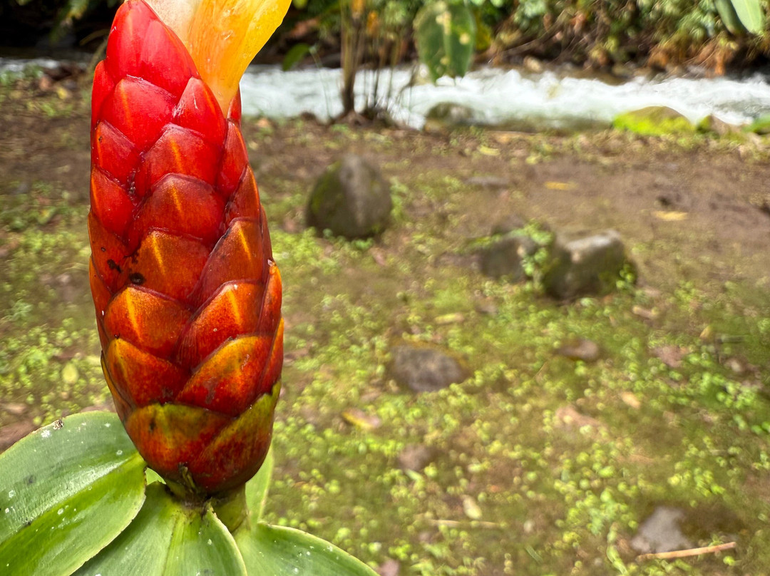 Catarata Río Agrio-Bajos del Toro必去景点