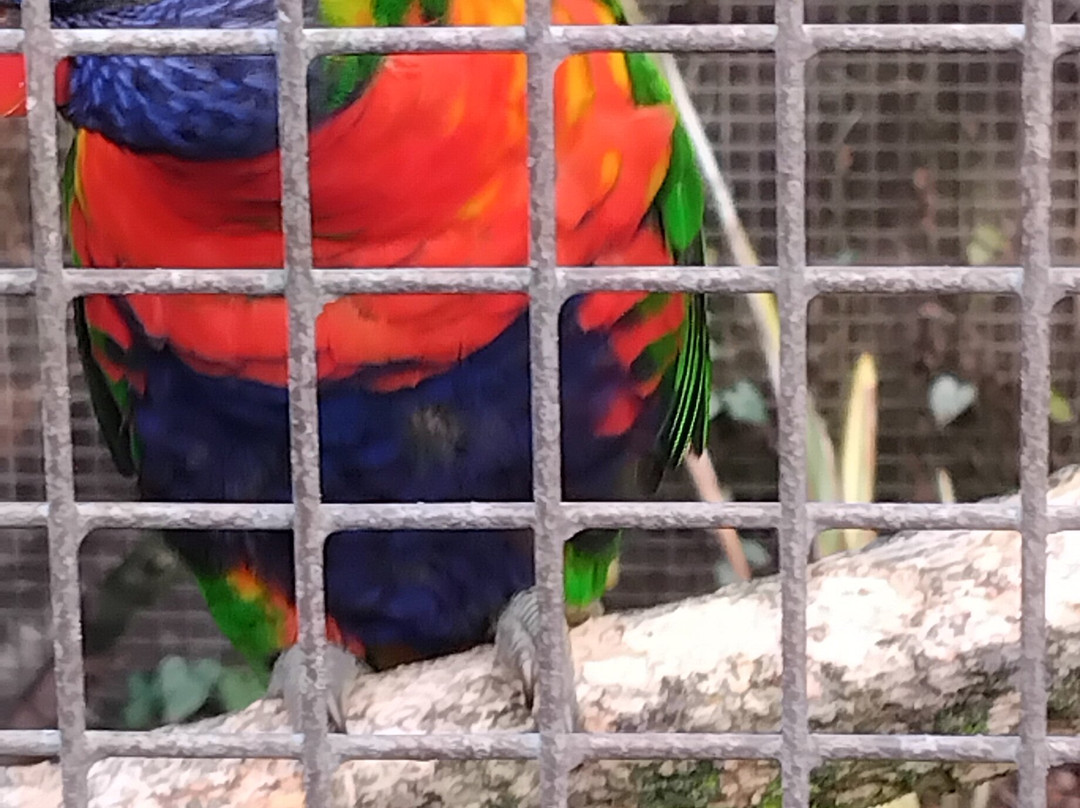 Filey Bird Garden & Animal Park-Filey必去景点