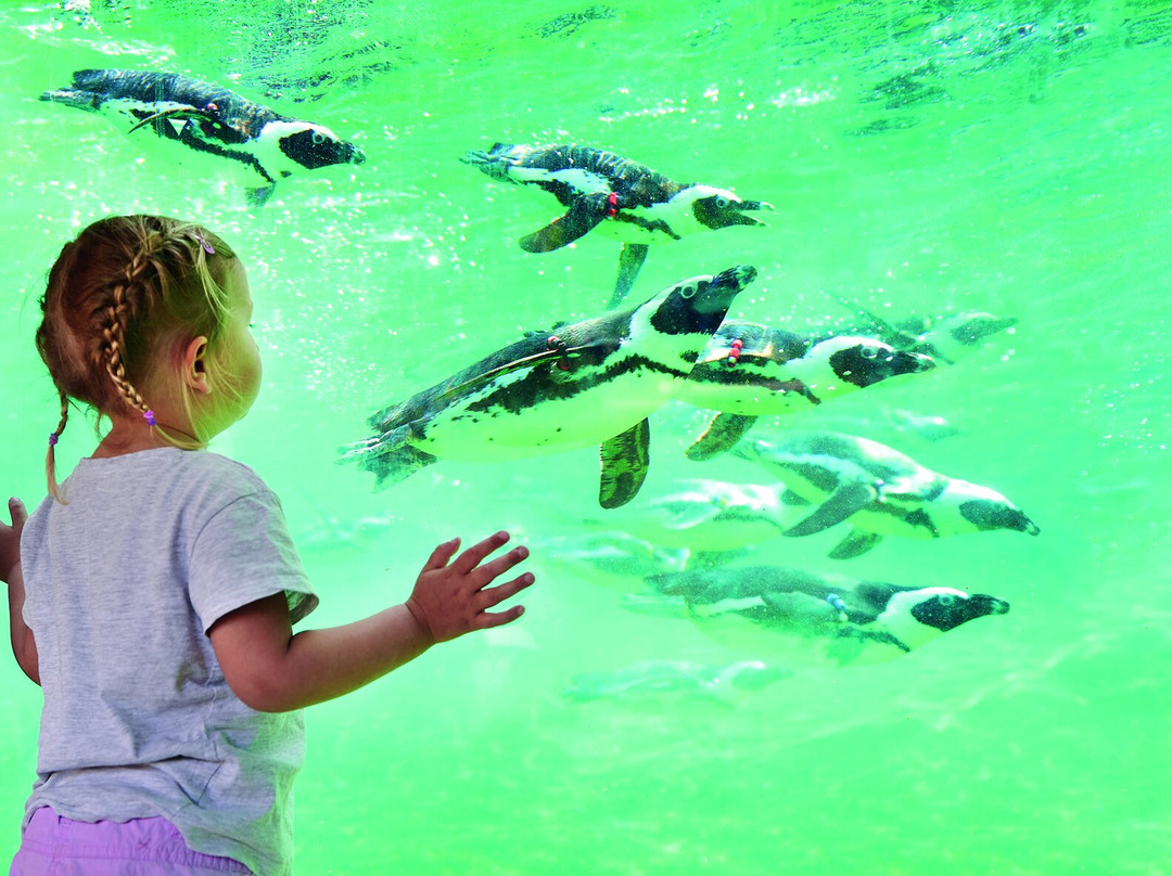 ZOOM Erlebniswelt_Official Site-Gelsenkirchen必去景点