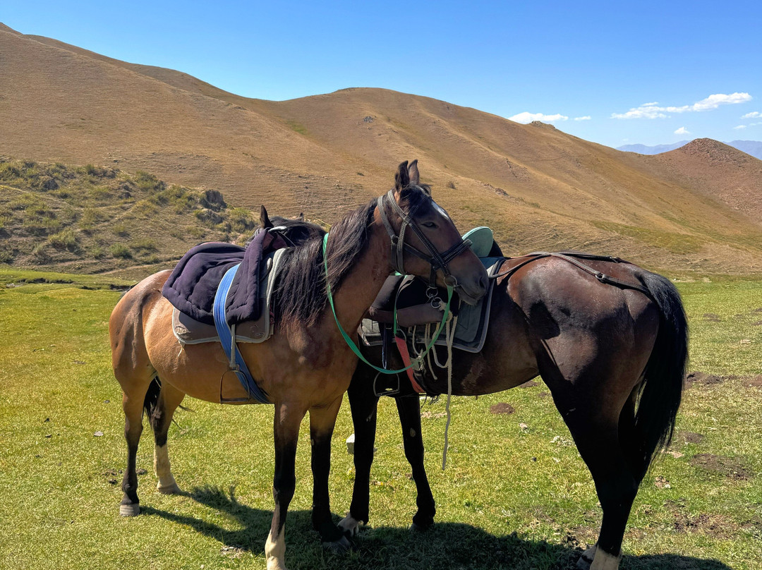 Discover Kyrgyzland-比斯凯克必去景点