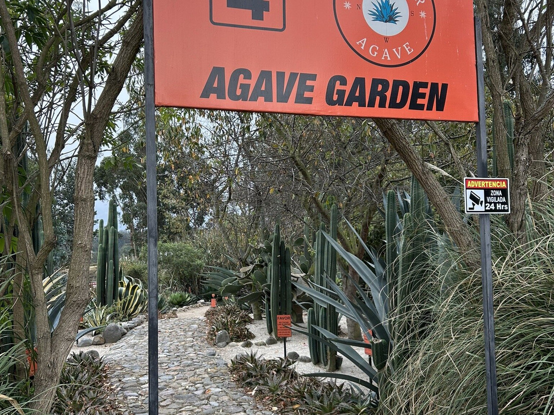 Quitsato Sundial-Cayambe必去景点