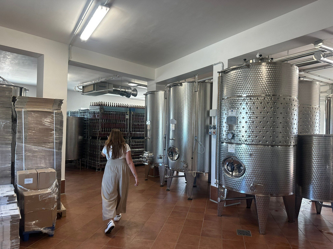 I Pastini-马丁纳弗兰卡必去景点