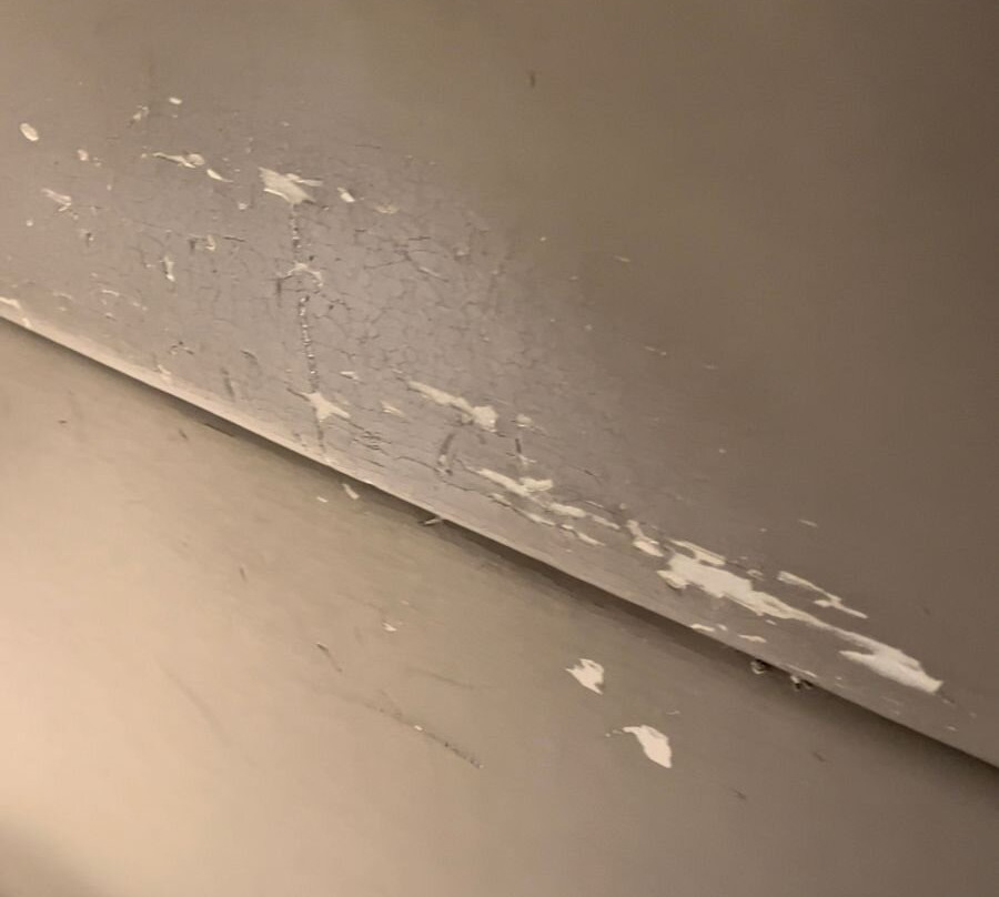 蒙特雷卡米奥真实酒店主图