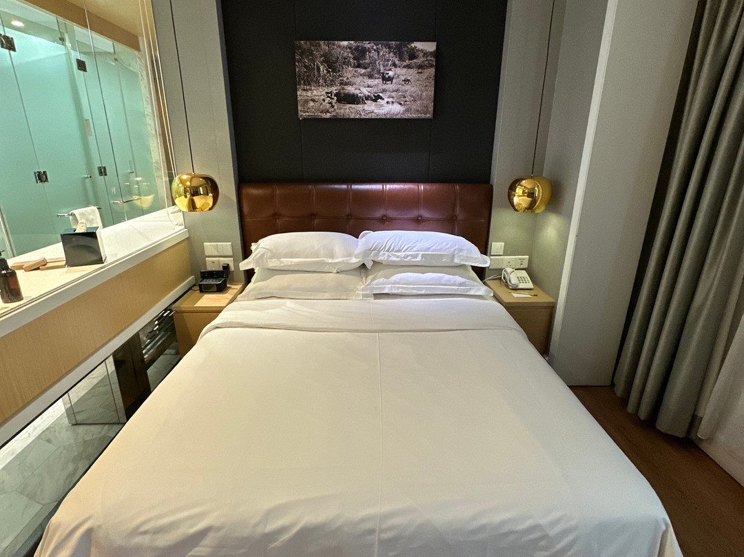 Kingwood Boutique Hotel主图