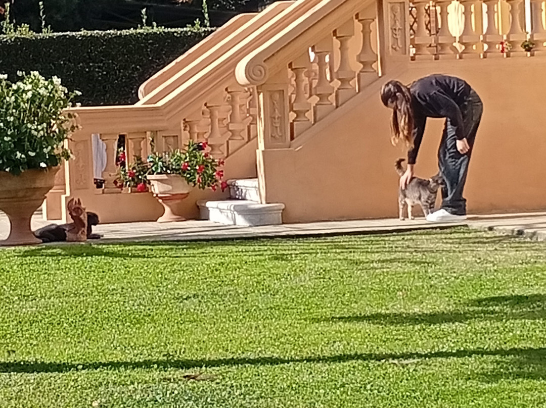 Marta Guest House主图