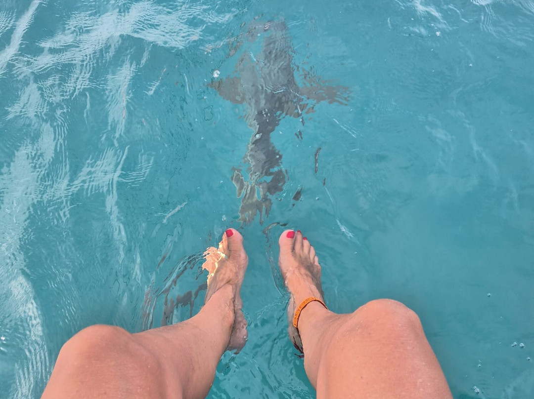 Catamaran Adventures San Blas-埃尔波韦尼尔必去景点