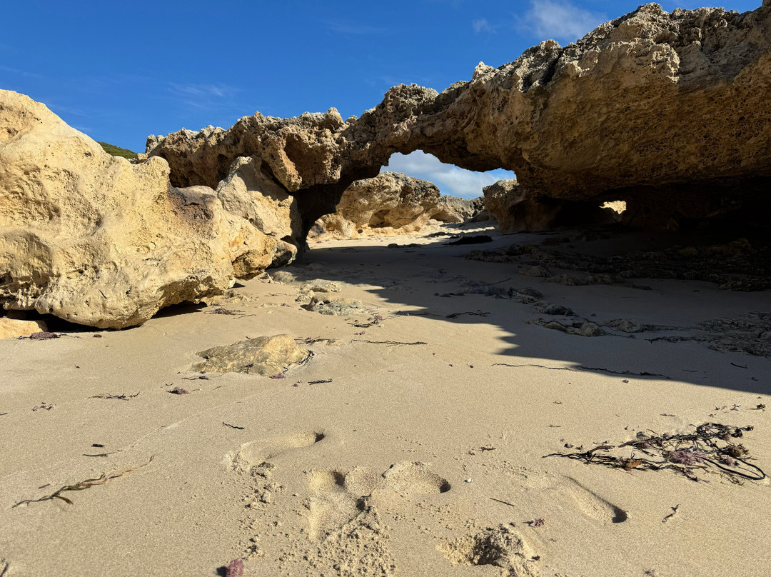 Yallingup Beach-雅林角必去景点