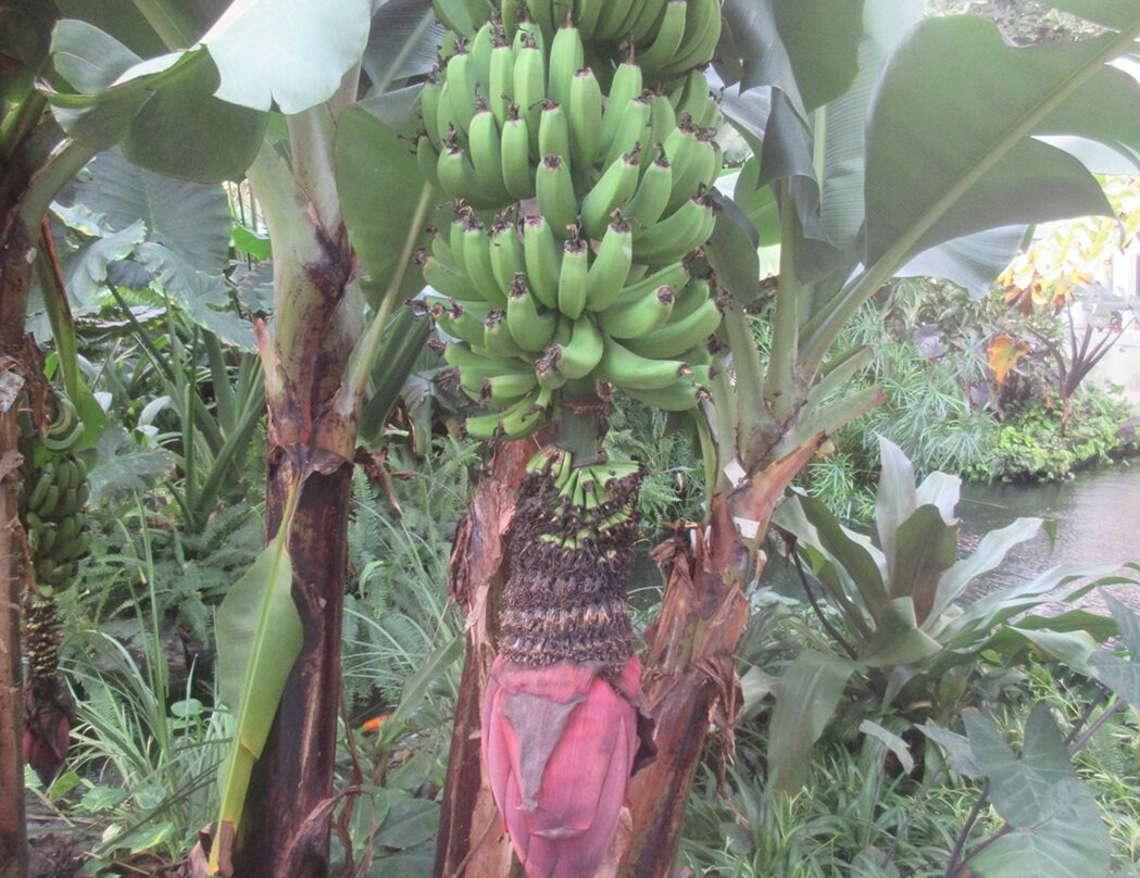 The Leaf-温尼伯必去景点