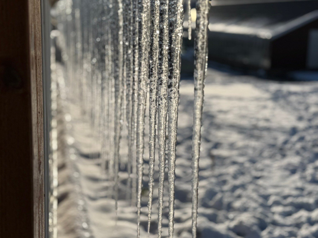 Sturlureykir Horses/Visiting HorseFarm-Reykholt必去景点