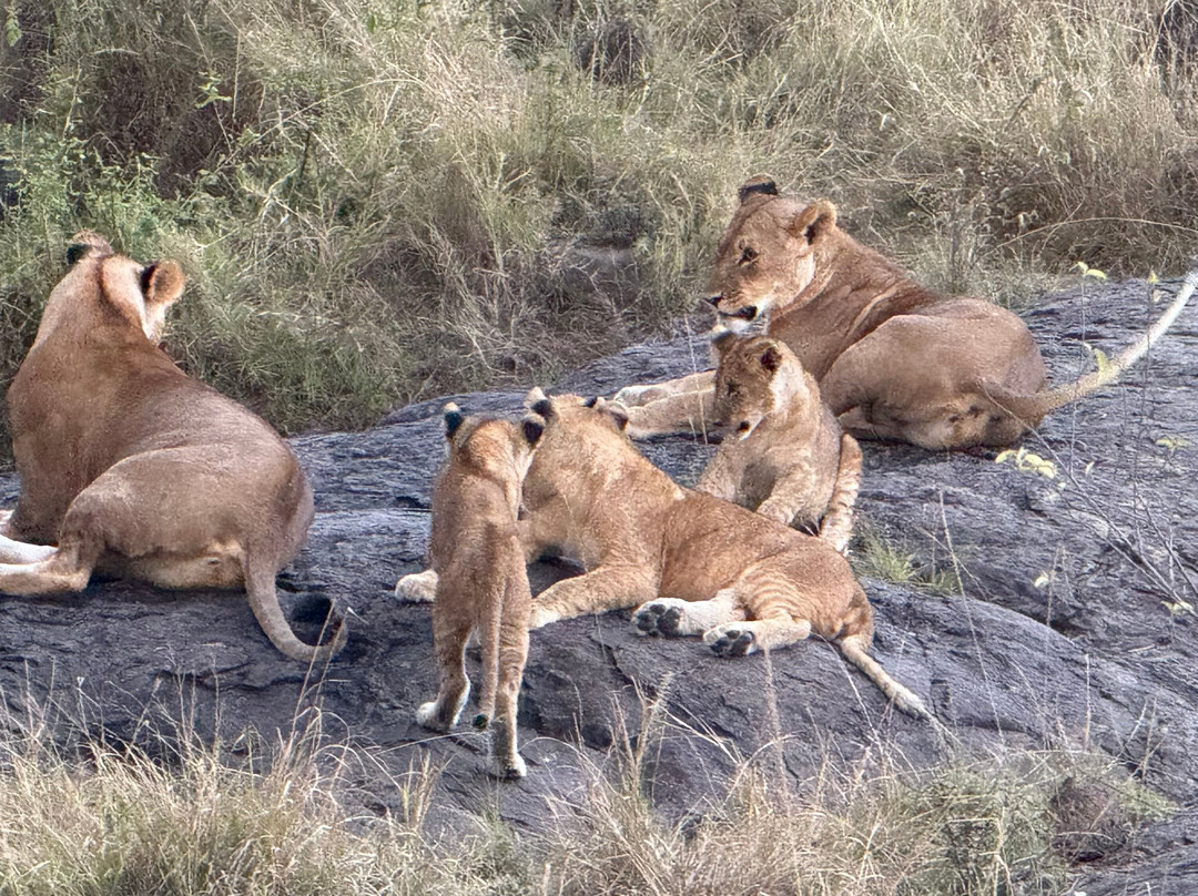Jemu Expeditions-南由基必去景点