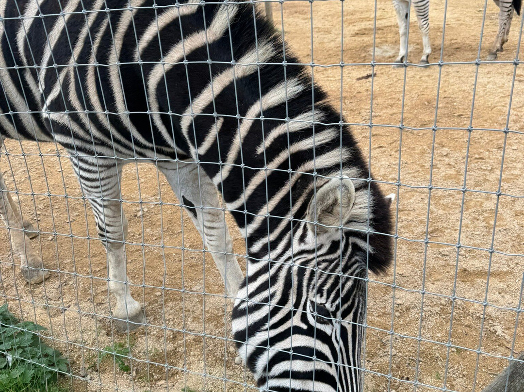 All Things Wild-Honeybourne必去景点