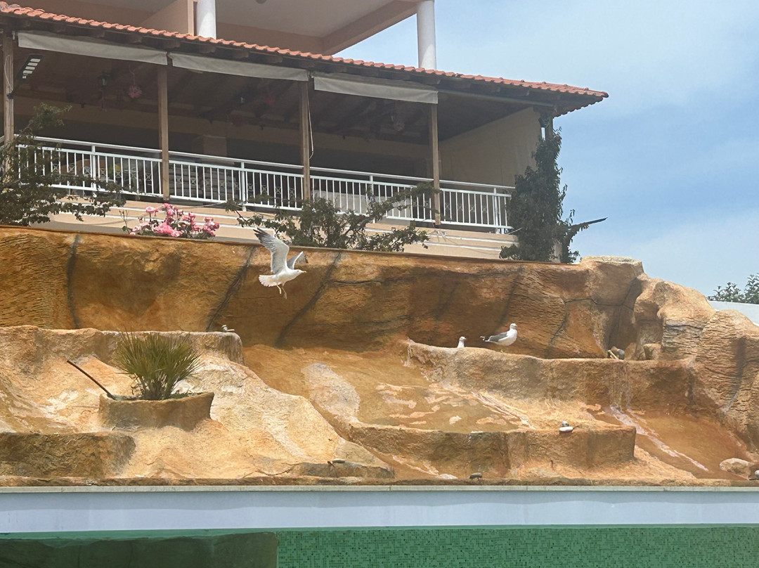 Thassos Hotel Grand Beach主图