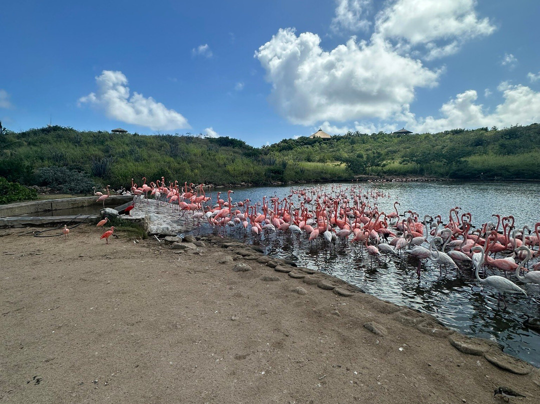 Island Vibe Destinations-Spanish Town必去景点