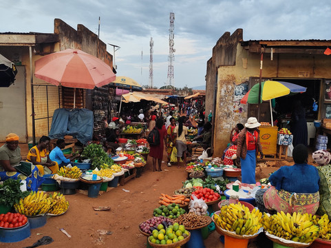 Car Rental Uganda-坎帕拉必去景点