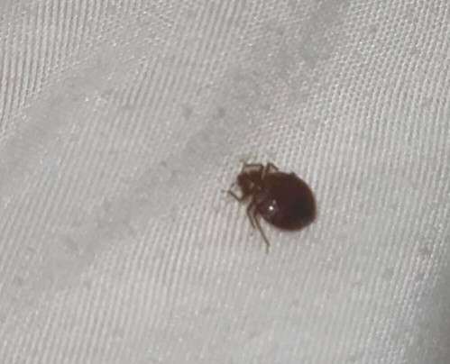 Grand Gateway Hotel主图