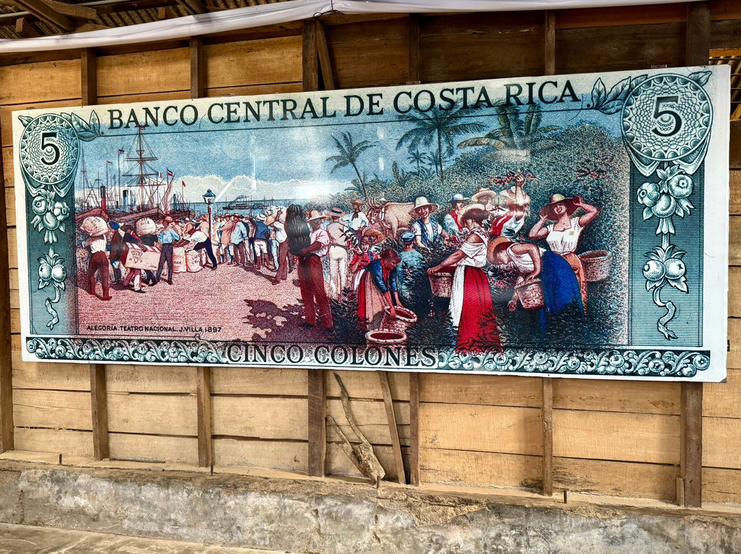 Doka Estate Coffee Tour-Poas Volcano National Park必去景点