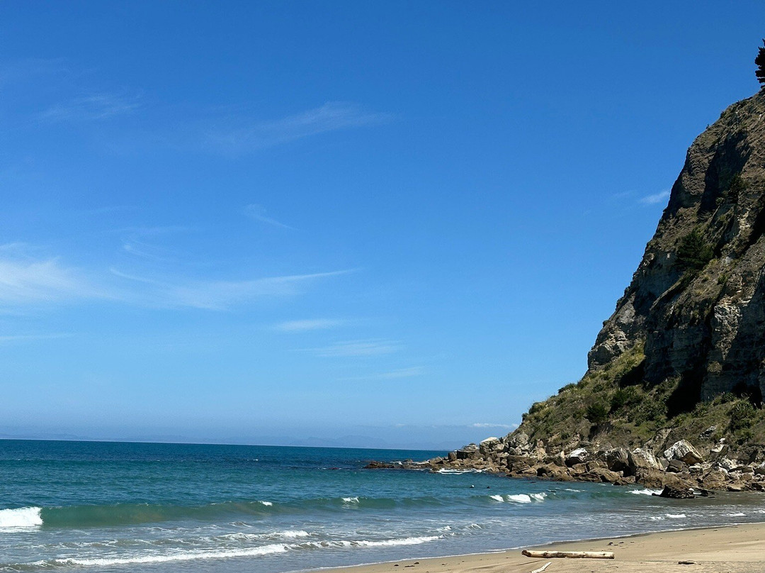 Waipatiki Beach-纳皮尔必去景点