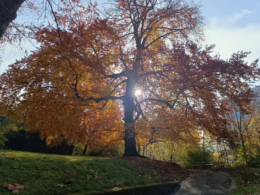 Parc de Mon Repos-洛桑必去景点
