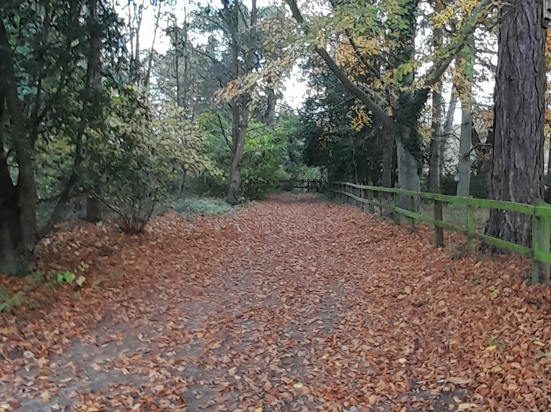 Mannington Hall-诺威奇必去景点