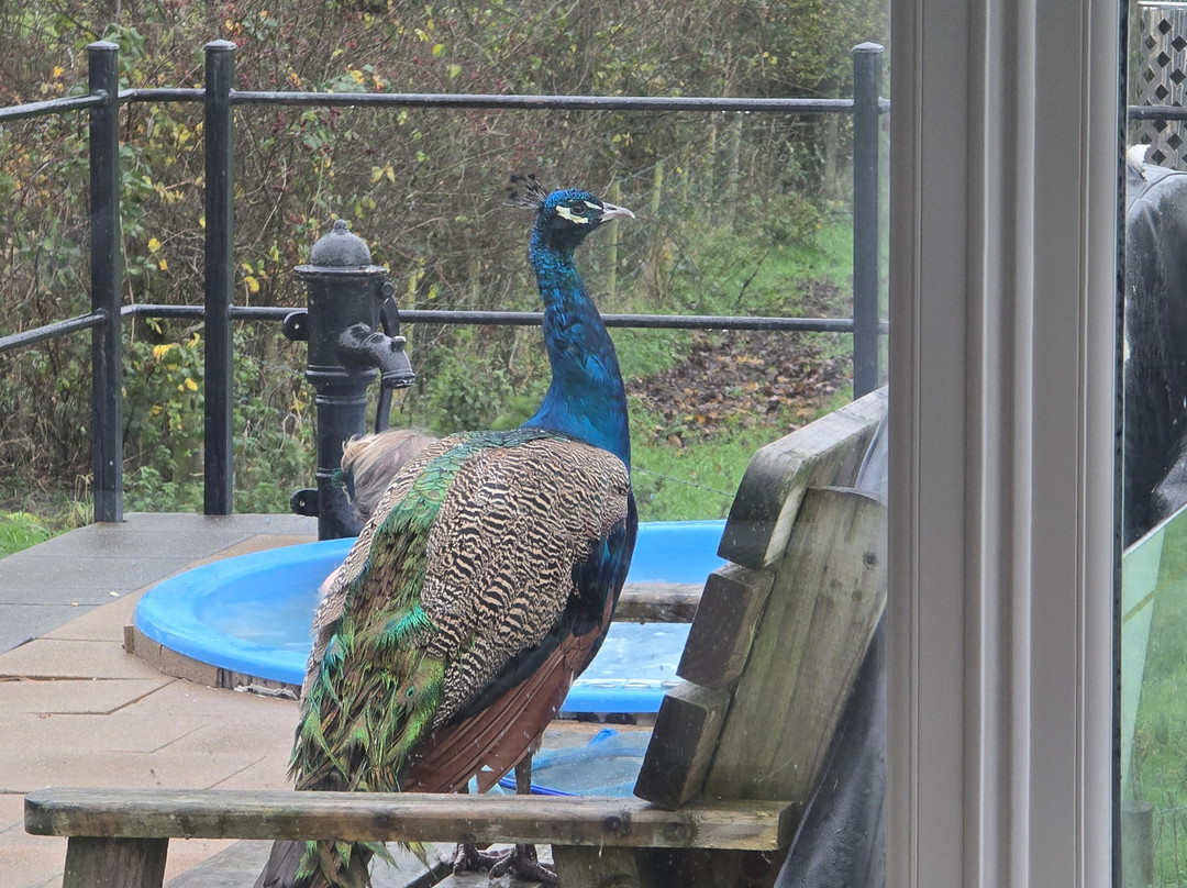 The Elemis Spa at Dunamoy-Ballyclare必去景点