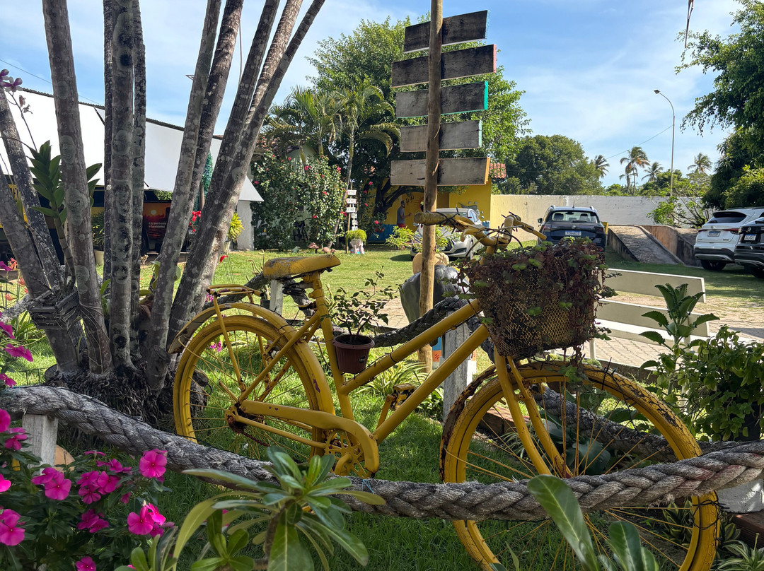 Farol da Foz Ecoturismo-Piacabucu必去景点