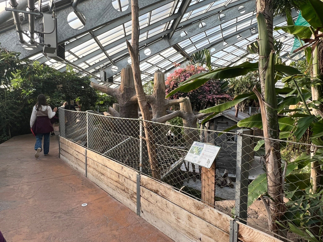 Terre de Dragons-Civaux必去景点