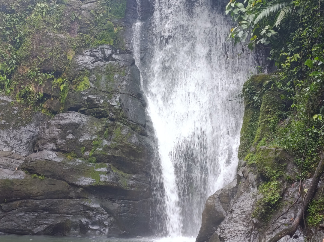 Abel Bustamante - Tour Guide-Manzanillo必去景点