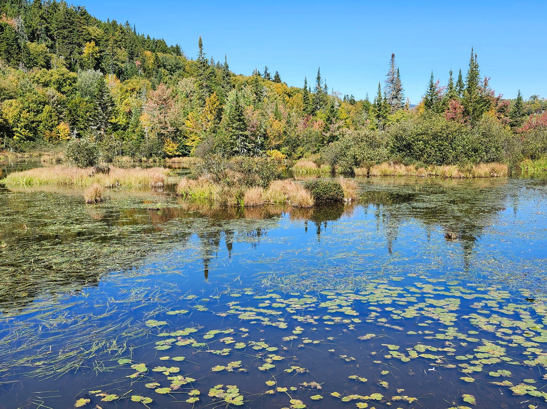 Les Marais du Nord-Stoneham-et-Tewkesbury必去景点