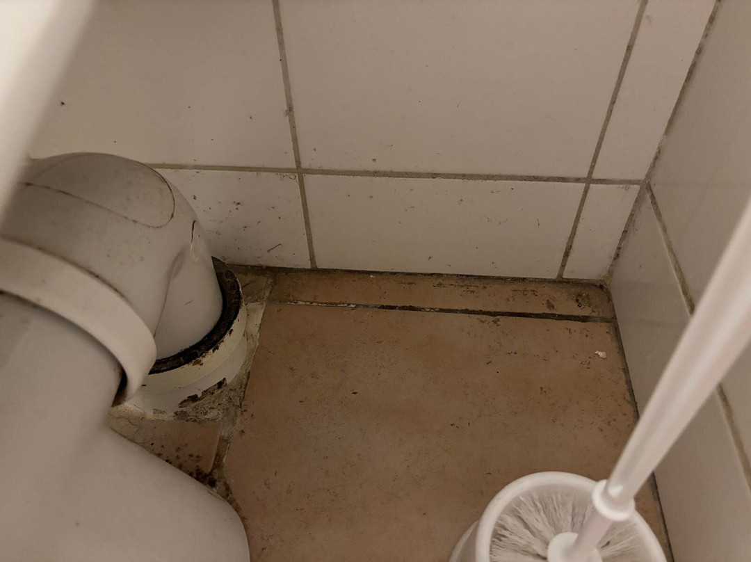 Hôtel Le Mulberry主图