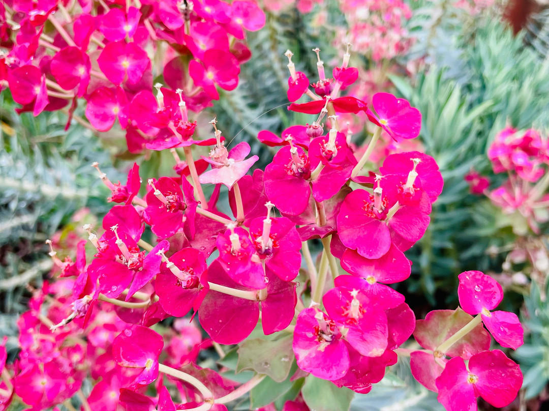 Tyers Art Festival-Tyers必去景点