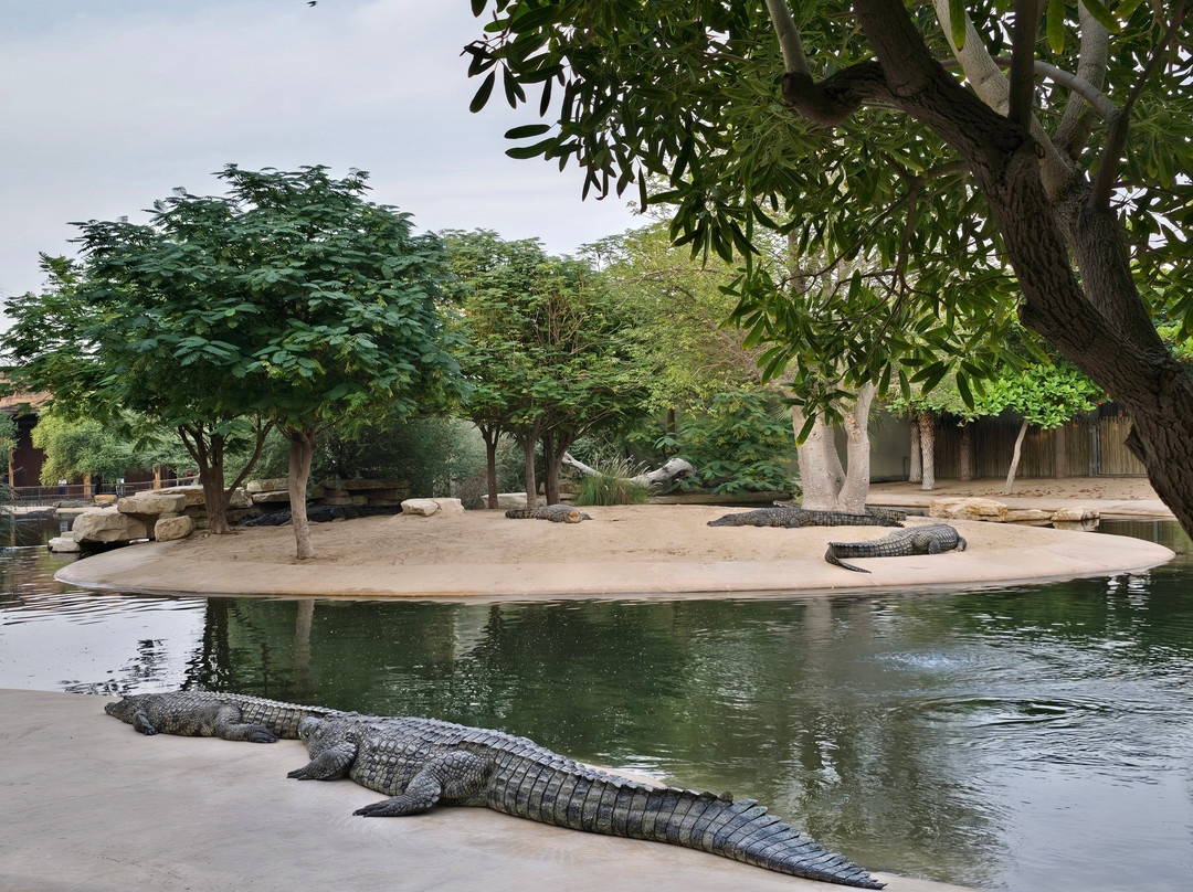 Dubai Crocodile Park-迪拜必去景点