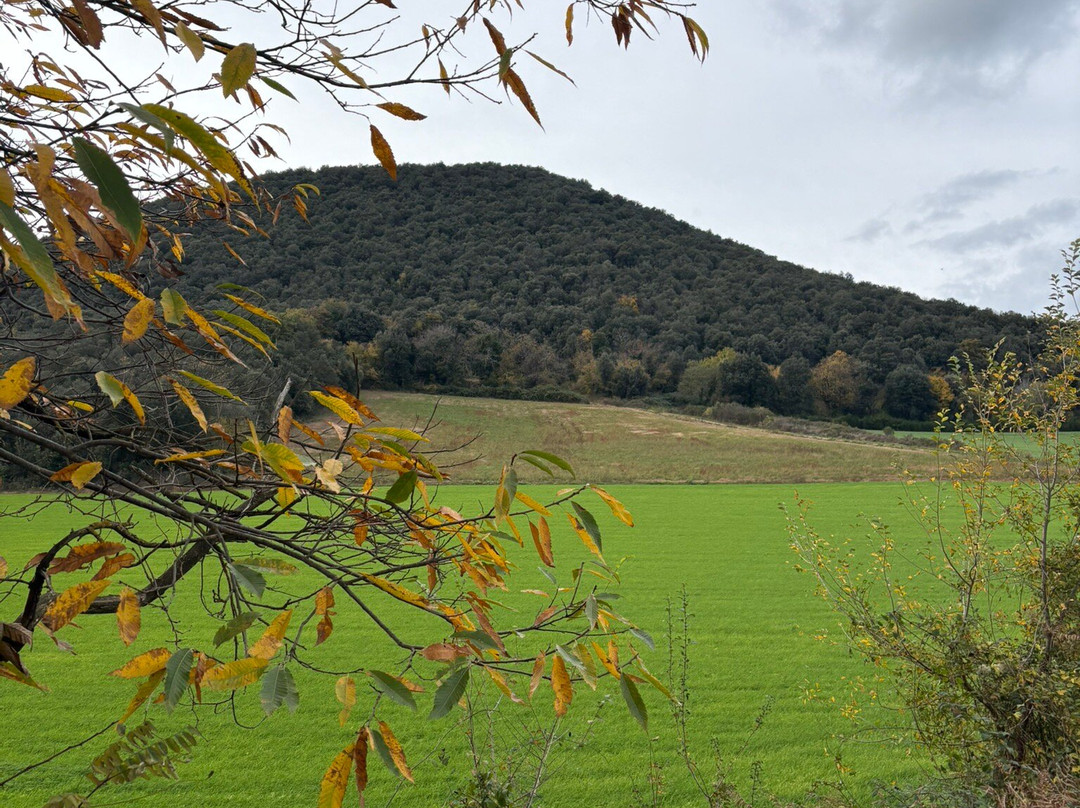Yepalo-巴塞罗那必去景点