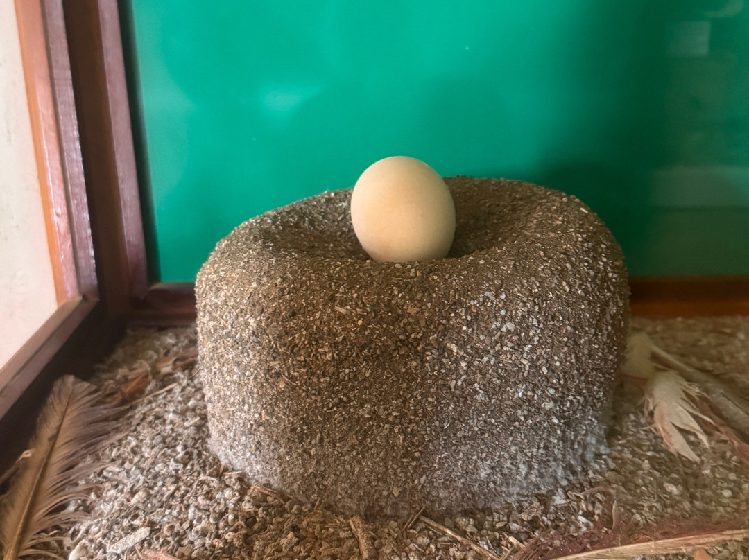 Washington-Slagbaai National Park Visitor Center Museum-Washington-Slagbaai National Park必去景点