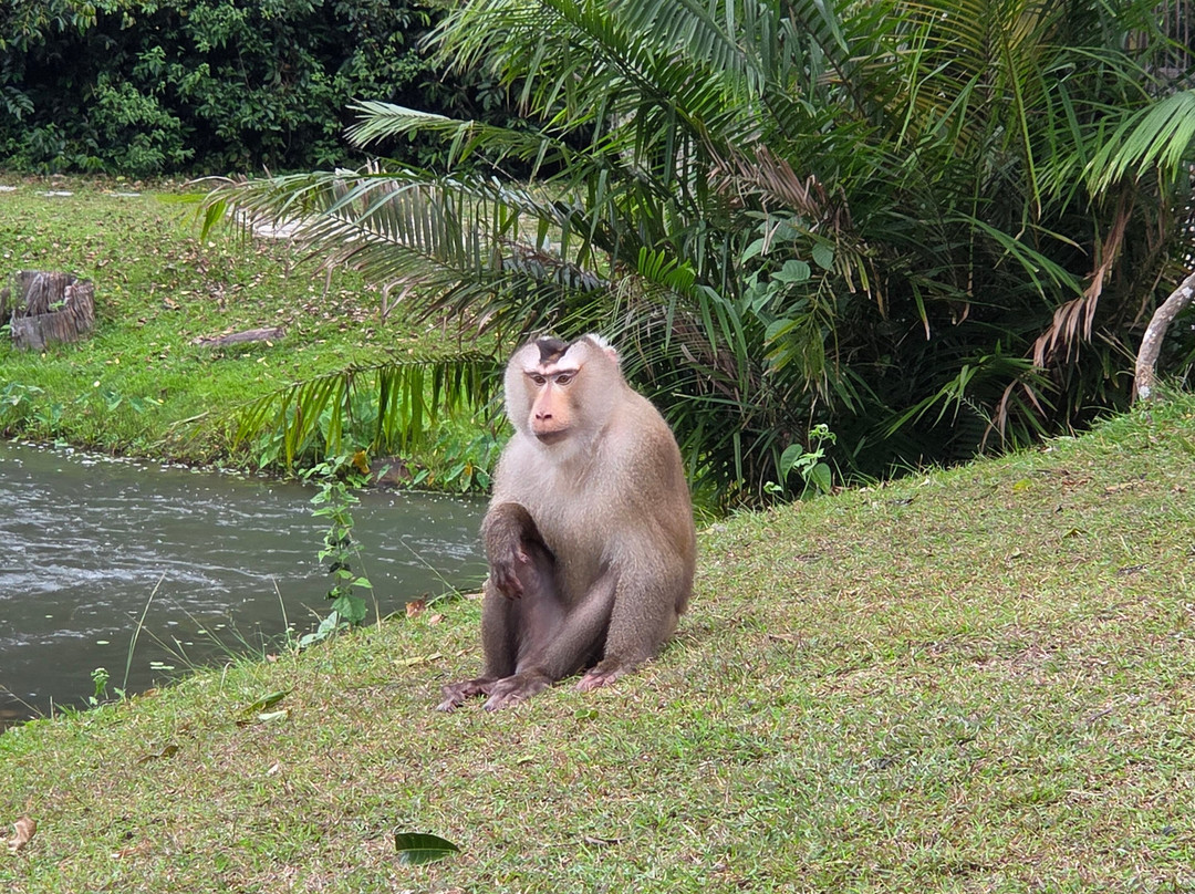 考艾自然生活及旅游主图