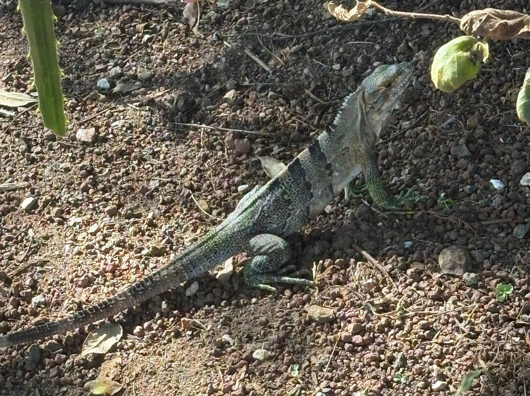 Costa Rica EZ Travel Adventures-Playa Flamingo必去景点