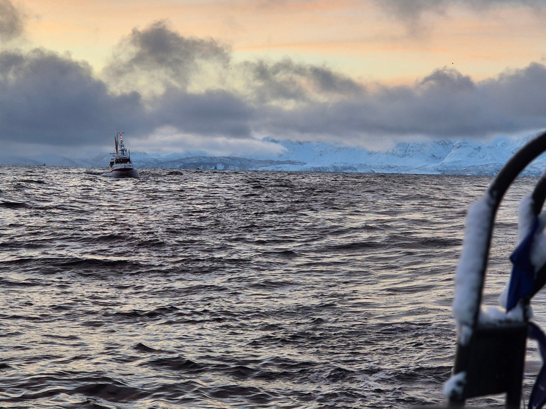 Lofoten Opplevelser-霍宁斯沃格必去景点