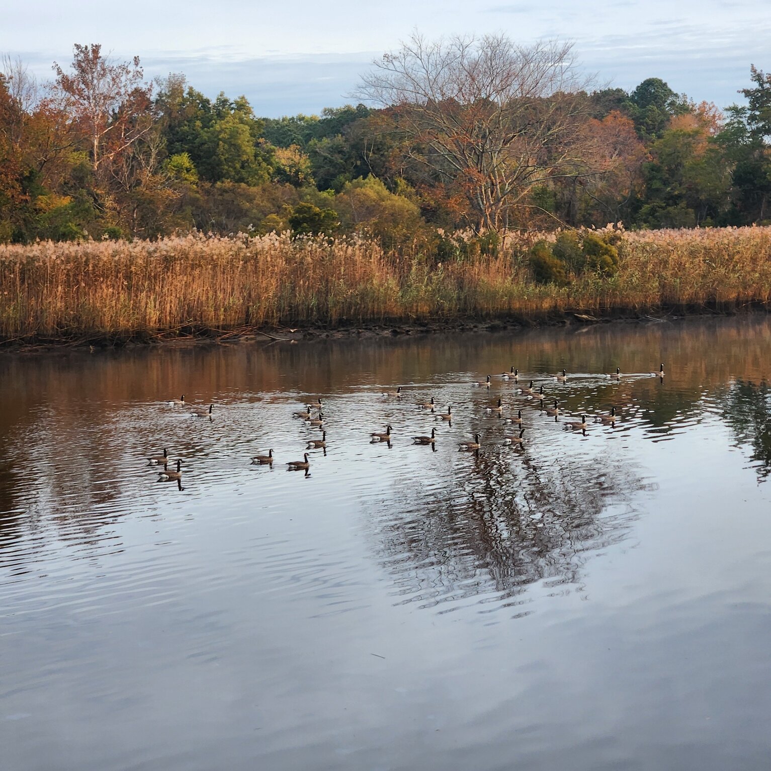 Hilton Garden Inn Suffolk Riverfront-浴室
