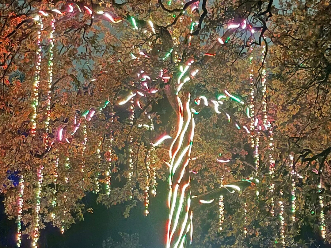 纽塞姆寺庙-利兹必去景点