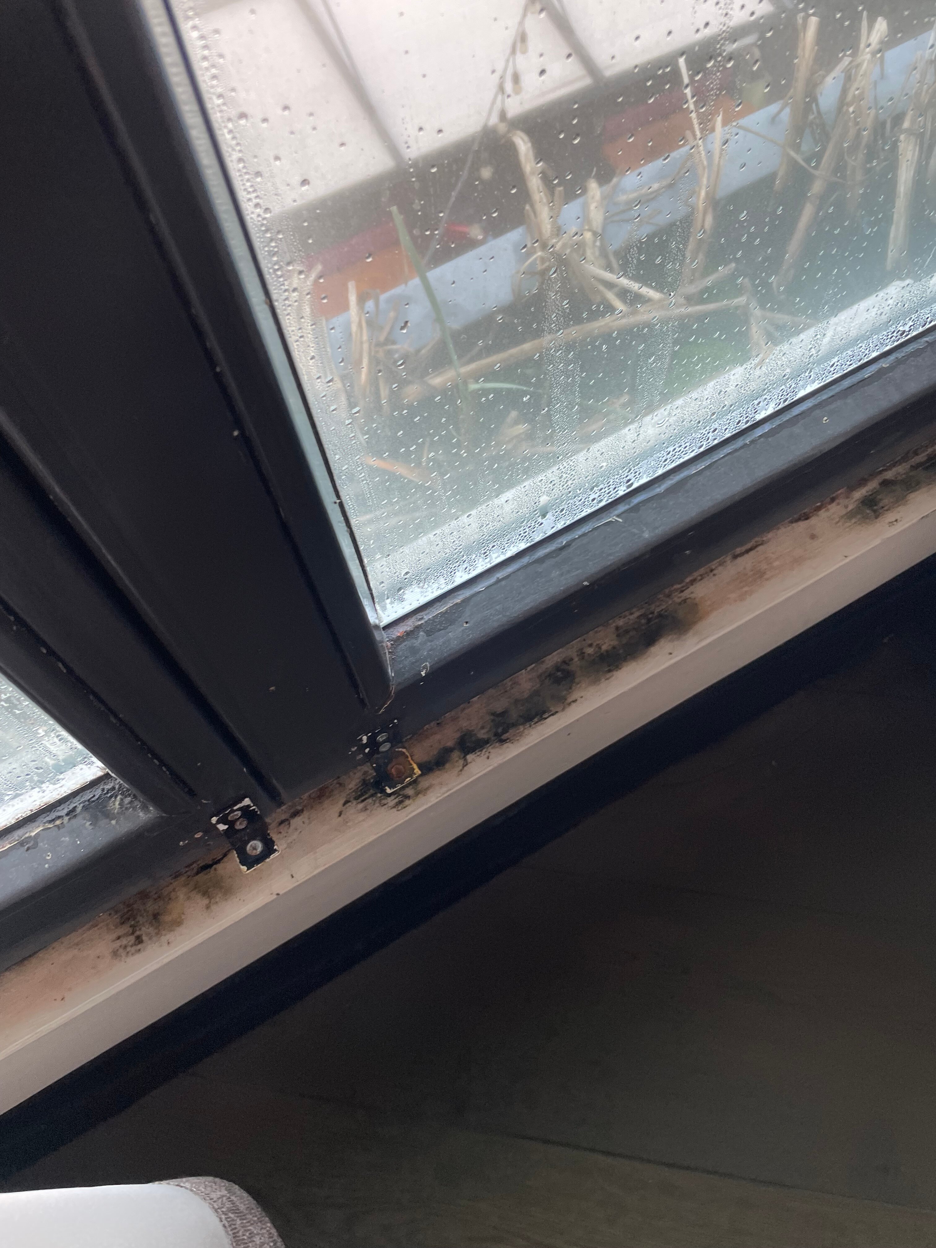 Manzo's Suites-客卧