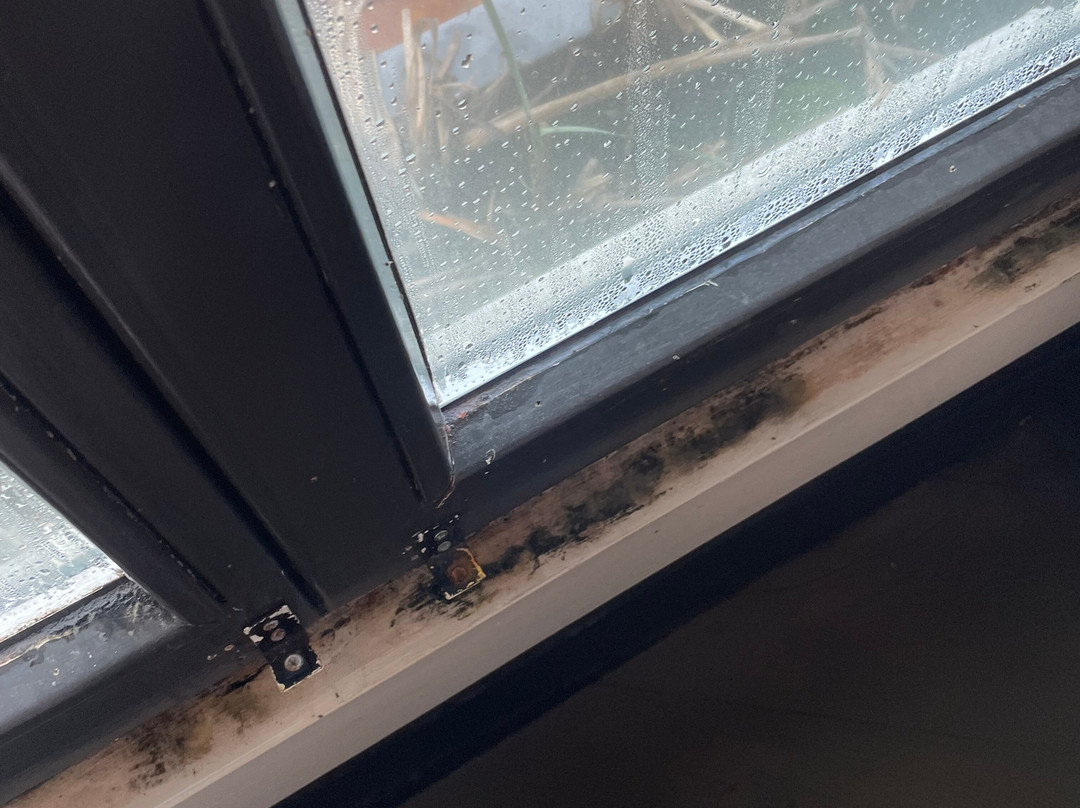 Manzo's Suites主图