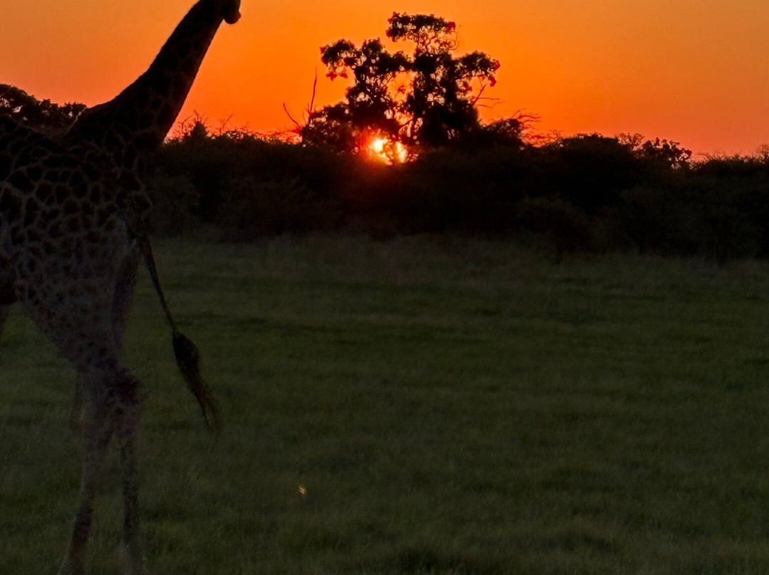 Island Mobile Safaris-马翁必去景点