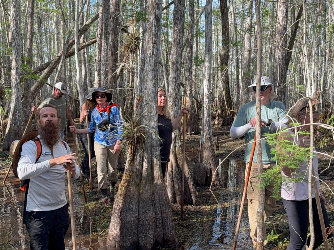 Slough Slog-大沼泽国家公园必去景点