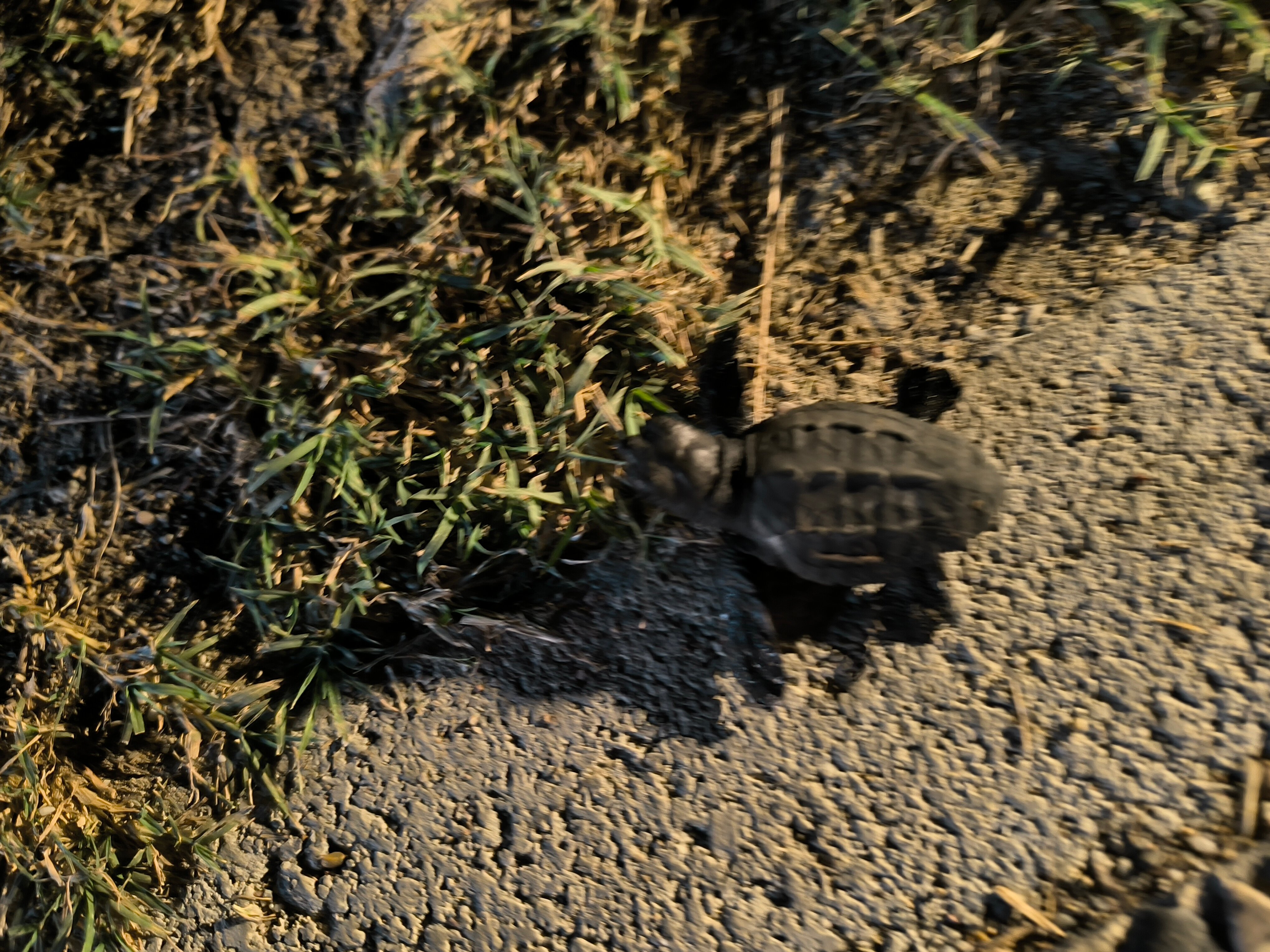 Asteria Family Resort Side-浴室