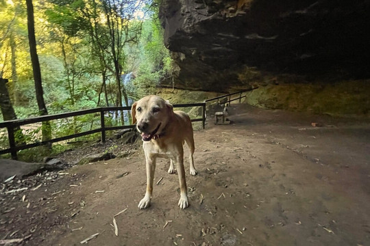Caverna Dos Bugres-Santa Maria do Herval必去景点