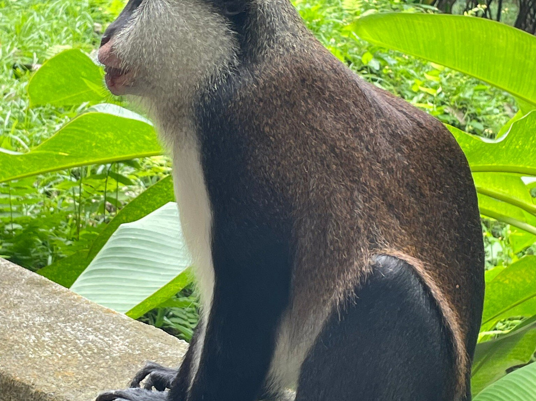 Executive Taxi & Tours (Island Tours)-St. George's必去景点