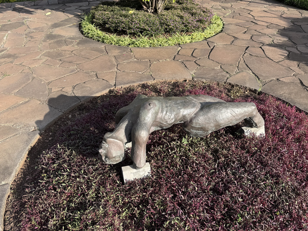 Parque de Santa Catarina-沙尔必去景点