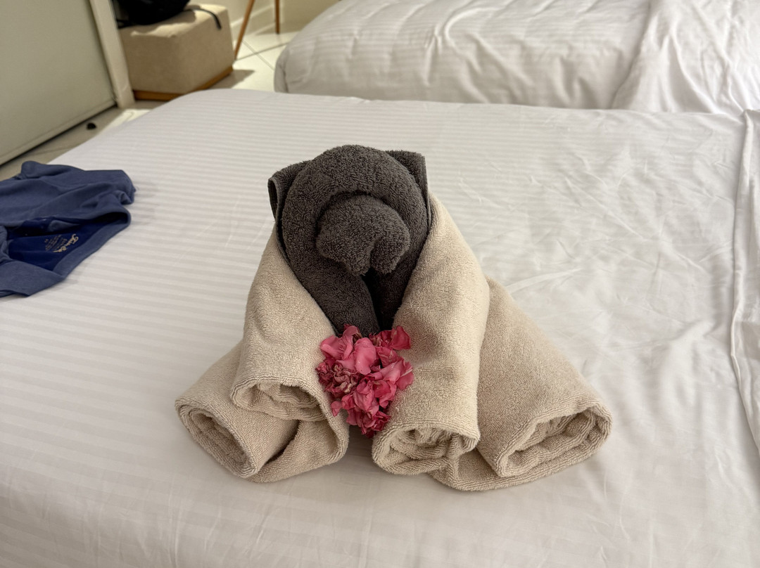 The Chedi El Gouna主图