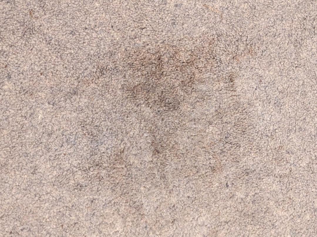 戴斯塞奇莫尔酒店主图